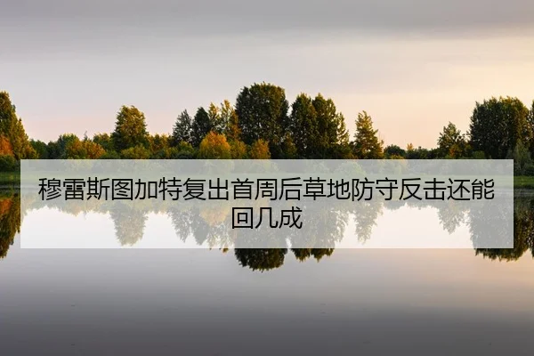 mu-lei-si-tu-jia-te-fu-chu-shou-zhou-hou-cao-di-fang-shou-fan-ji-hai-neng-hui-ji-cheng-2-475.jpg
