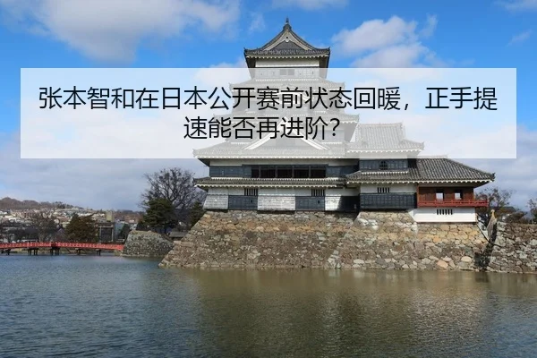 张本智和在日本公开赛前状态回暖，正手提速能否再进阶？